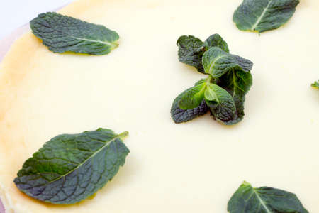 White chocolate cheesecake with mintの写真素材