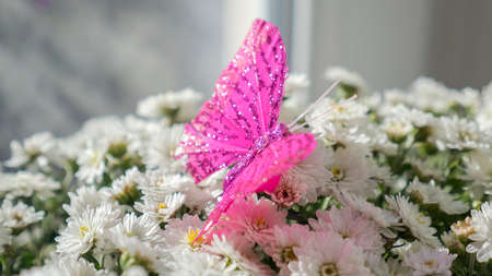Butterfly is sitting on a bouquet of white flowersの写真素材