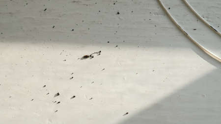 Old dirty stained white window sillの写真素材