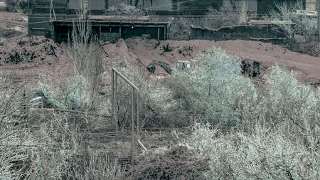 Factory. Tractor behind the trees. Winter morning.の写真素材