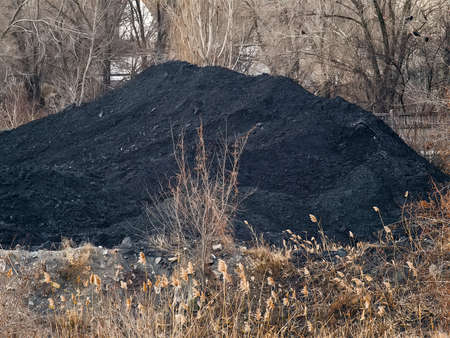A huge pile of clay near the plantの写真素材