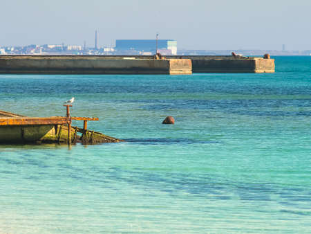 The seagull sitting on a pier near the seaの写真素材