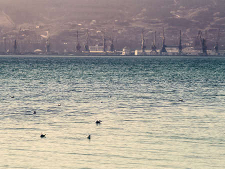 The sea, seagulls and view of the portの写真素材