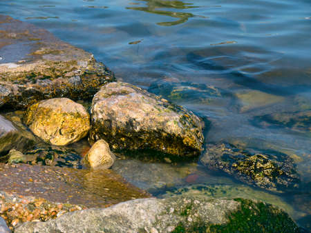 The stones with seaweed in the sea
