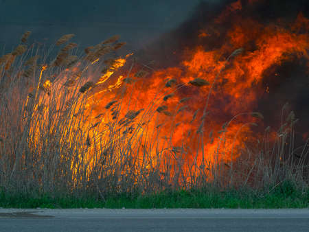 A huge massive fire in the open airの写真素材