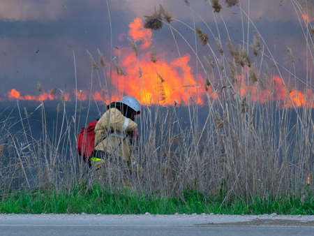 The firefighter extinguishes fire in the fieldの写真素材