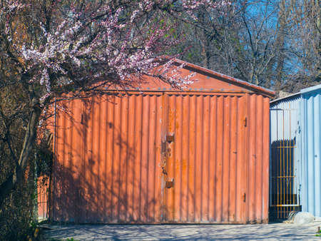 The metal garage and beautiful flowering treeの写真素材