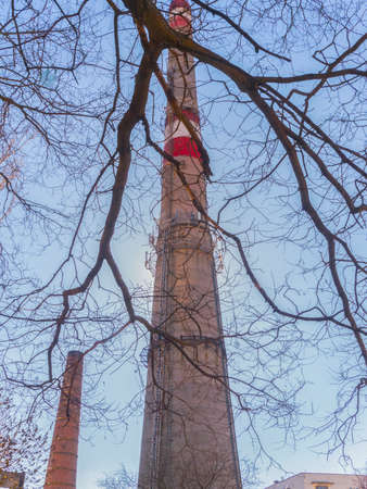 The large pipe in the plant behind the treeの写真素材