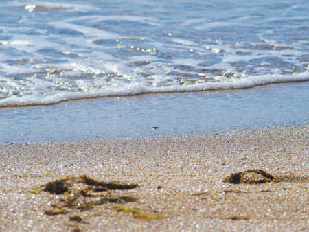 The ocean breeze, summer and footprints in the sandの写真素材
