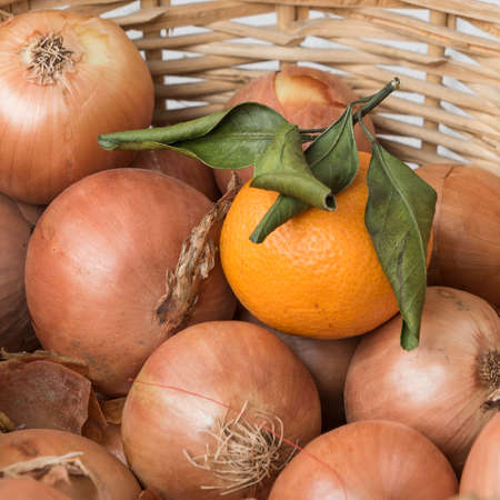 mandarinの写真素材