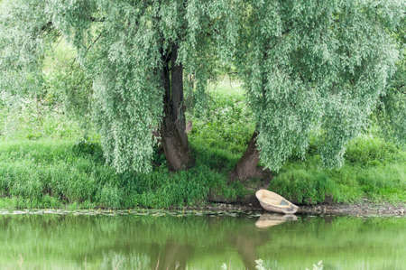 Boat under a willowの写真素材