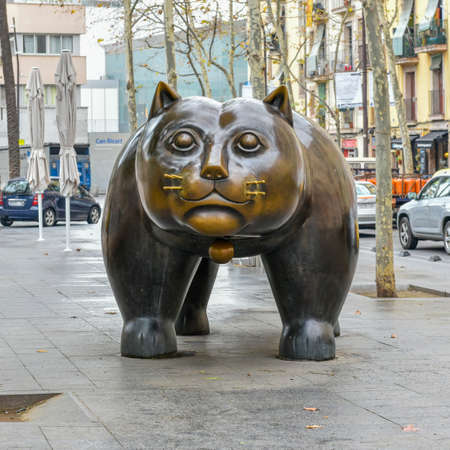 Resident Of Barcelonaの写真素材