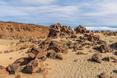 The stones on the sandの写真素材
