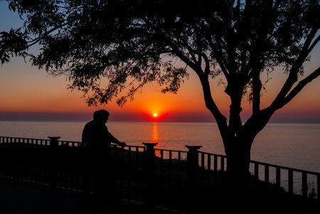 The siluettes of a couple in love admire the sea sunset, standing at the parapet under the crowns of trees.の写真素材