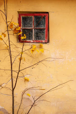 Background vertical frame. Yellow wall, red window and tree branches.の写真素材