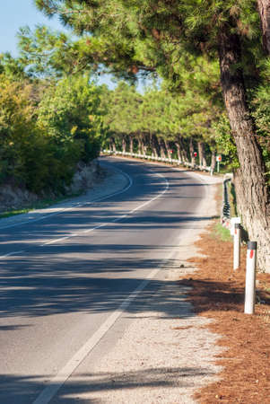 Mountain landscape. Mountain road, going away against the background of a blue sky and pines.の写真素材