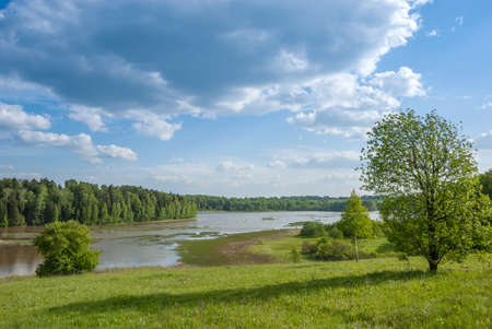 Summer landscape. Meadow, pond and trees against the background of a blue sky with beautiful heap clouds.の写真素材