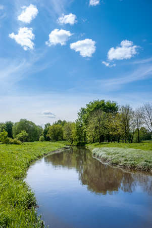Summer landscape. Meadow, pond and trees against the background of a blue sky with beautiful heap clouds.の写真素材
