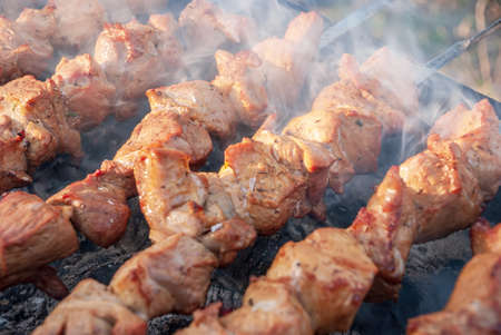 Kebabs on shampoos roast on a mangal with a smoke.