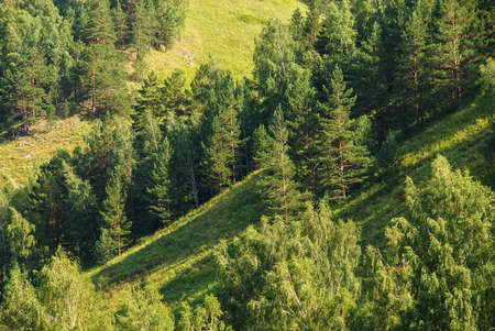 Landscapes of Siberia. Mountains covered with forest on the Kiya river. Kemerovo region. Russiaの写真素材