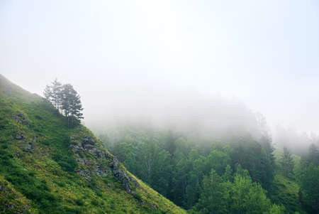 Landscapes of Siberia. Early morning on the Kiya river. Fog over a forest in the mountains. Kemerovo...