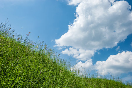 A hill with green grass and a blue sky with clouds.の写真素材
