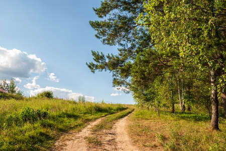 Summer landscape on a sunny day. Forest, meadows and blue sky with clouds.の写真素材