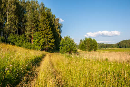 Summer landscape on a sunny day. Forest, meadows and blue sky with clouds.の写真素材