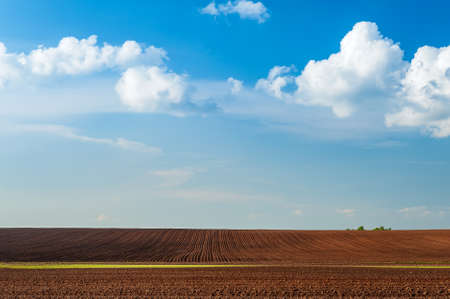 plowed field and blue sky in sunsetの写真素材