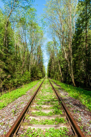 Railway line in countryside on sunny day. train journeyの写真素材