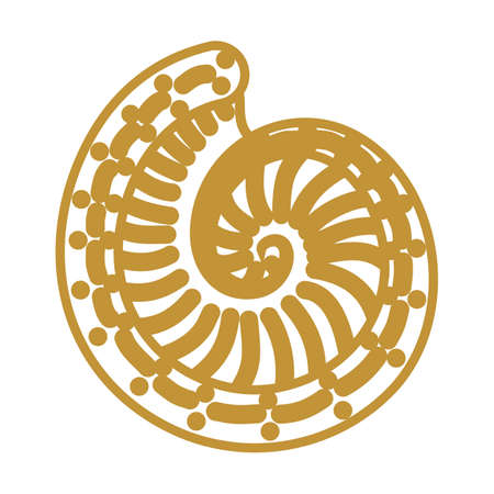 Shell. Sketch style vector formatのイラスト素材