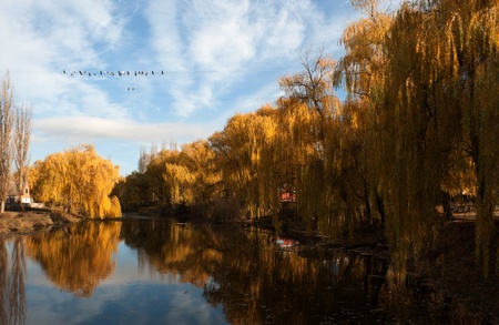 Autumn time