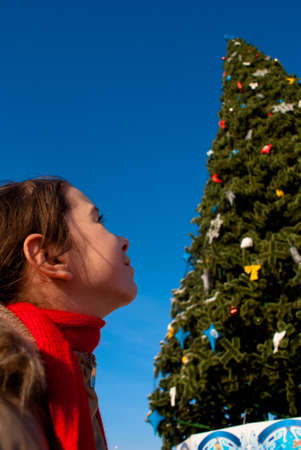 Girl looking at the Christmas treeの写真素材