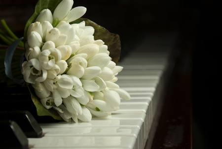 Bouquet of snowdrops laying on the piano keyboardの写真素材