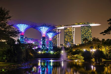 SINGAPORE - NOVEMBER 4: Gardens by the Bay park overview on November 4, 2015 in Singapore.のeditorial素材