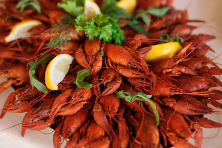 Red boiled crawfish with lemonの写真素材