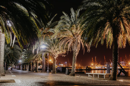 La Spezia, Italy - 04, 03, 2021: View of La Spezia harbor at night, beautifully lit palm trees.