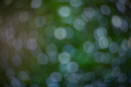 Beautiful green bokehの写真素材