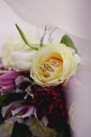 wedding ringsの写真素材