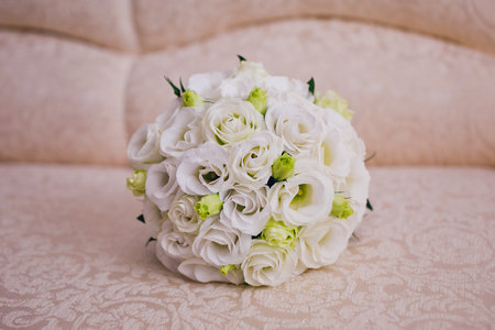 Cream rosesの写真素材