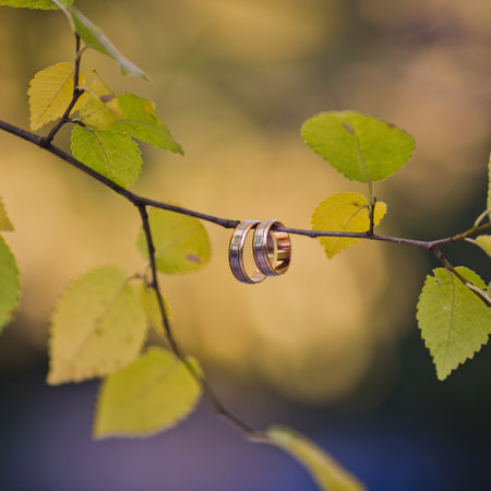 Golden wedding rings hanging on green branchの写真素材