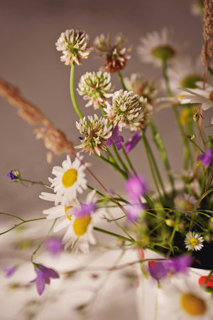 Wildflowers abstraction background closeupの写真素材