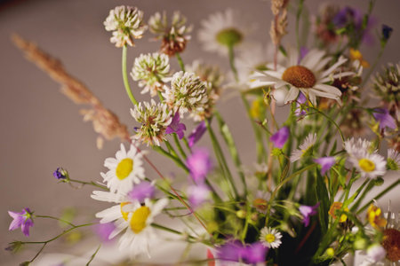 Wildflowers abstraction background closeupの写真素材