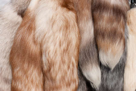 Polar fox fur tails closeupの写真素材
