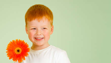 Adorable redheaded boy with orange African daisy on green backgroundの写真素材