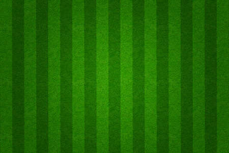 green grass soccer  field background