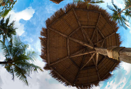 Umbrella on tropical beach made of palm leaves up viewの写真素材