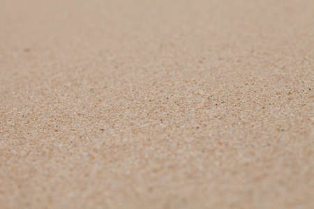 Dry clean beach sand background with narrow focusの写真素材