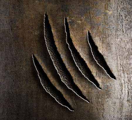 claws damage on rusty metal claws damage on rusty metal