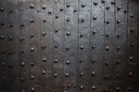 Old medieval metal gate background